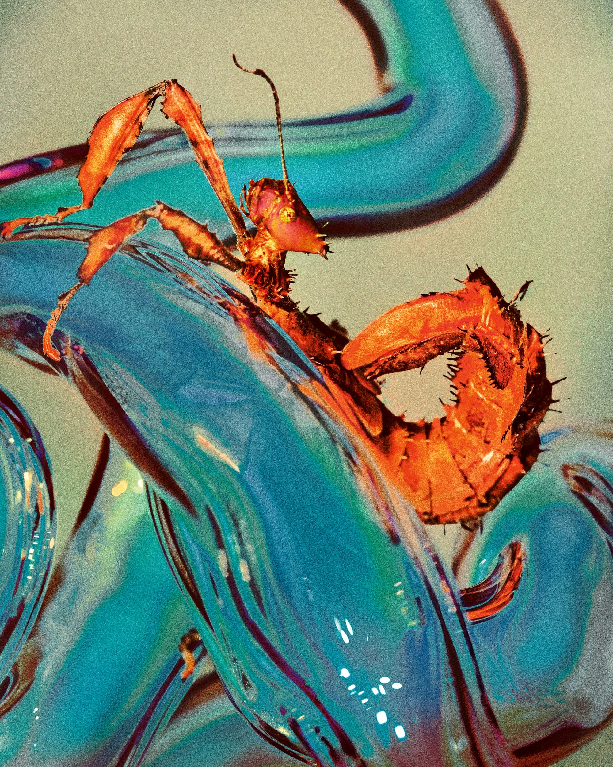 a saturated photo by Elizaveta Porodina of an insect
