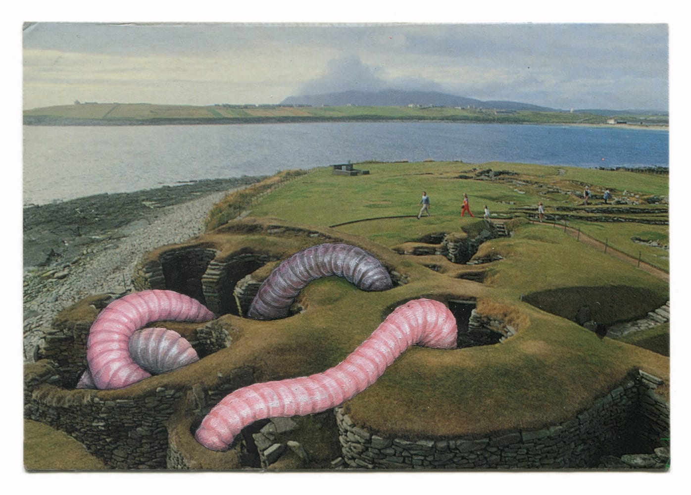 a painting by Rose Sanderson on a vintage postcard of worms emerging from the hills