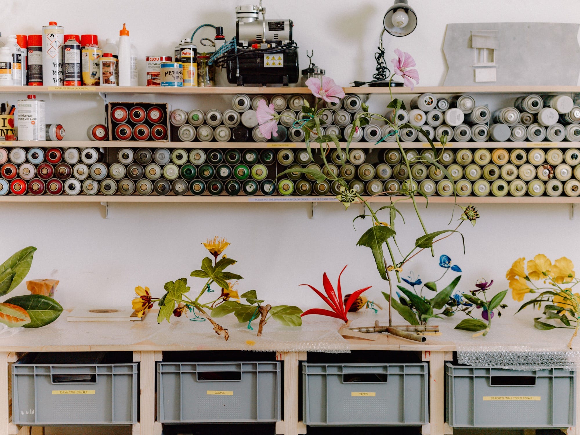 a worktable with botanical sculptures and paint a shelf above