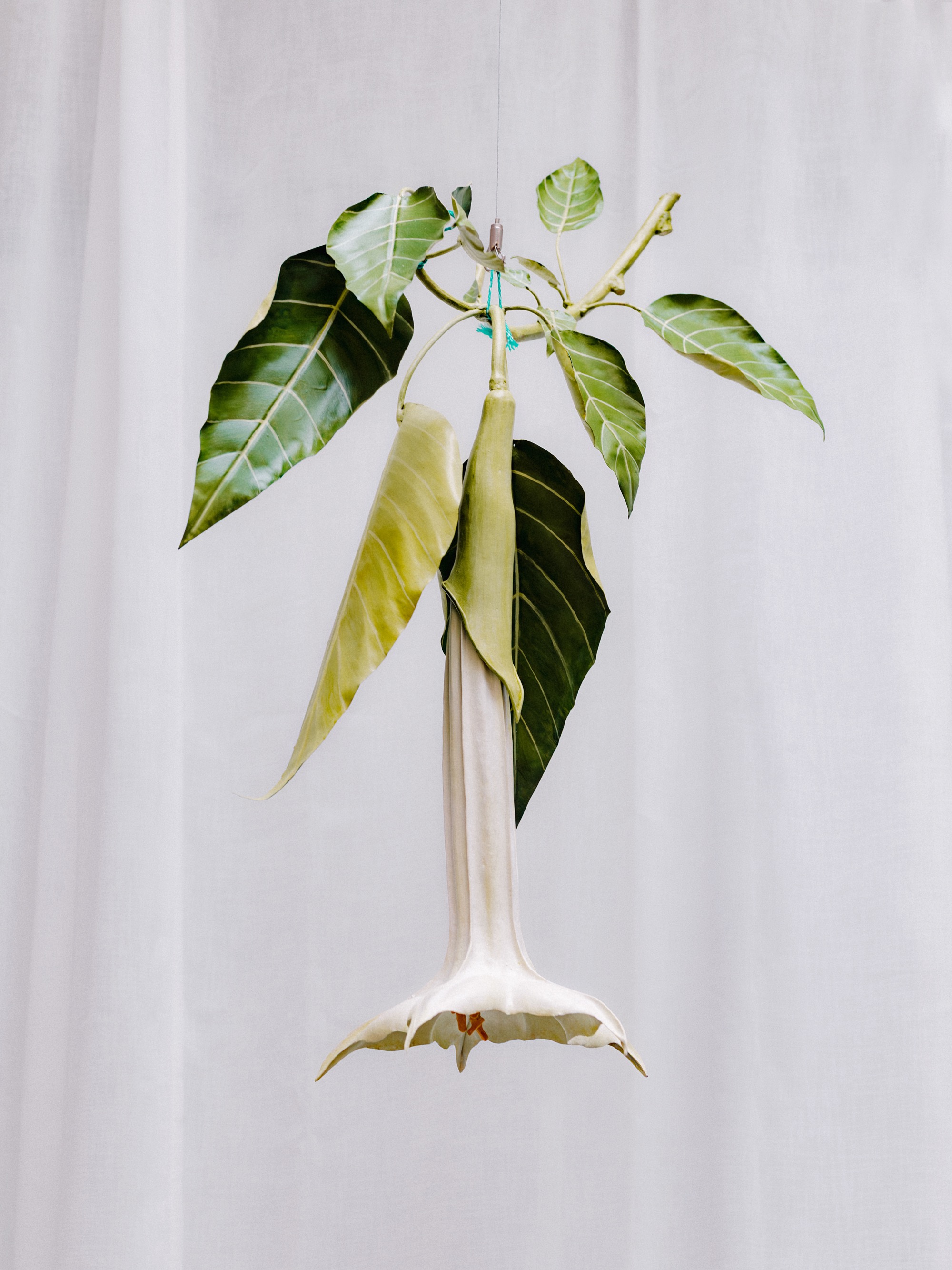suspended botanical sculptures by alvaro urbano