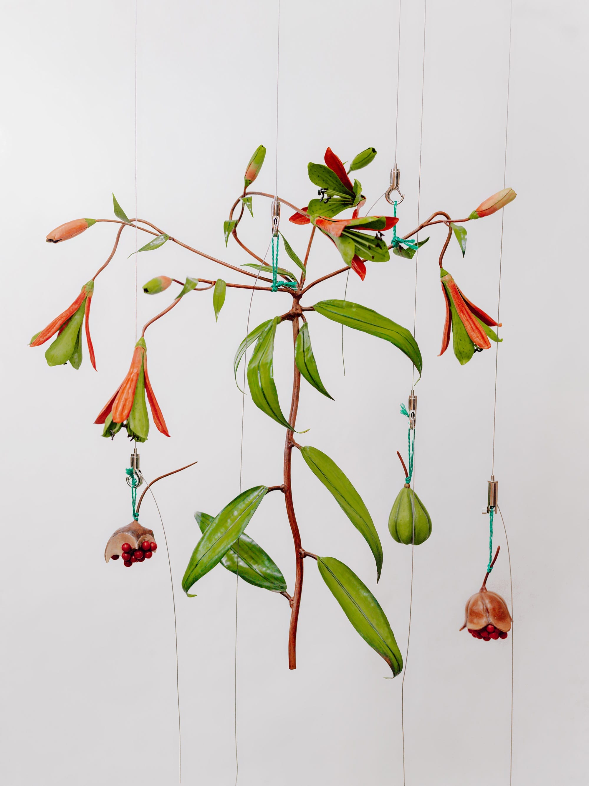 suspended botanical sculptures by alvaro urbano
