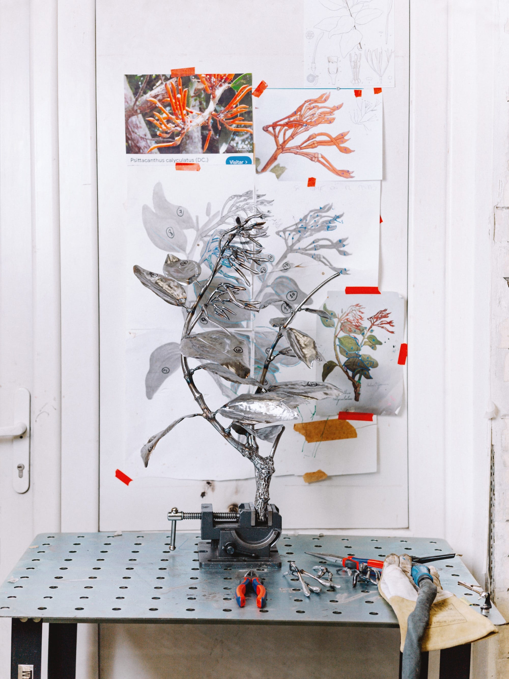 in progress botanical sculptures by alvaro urbano