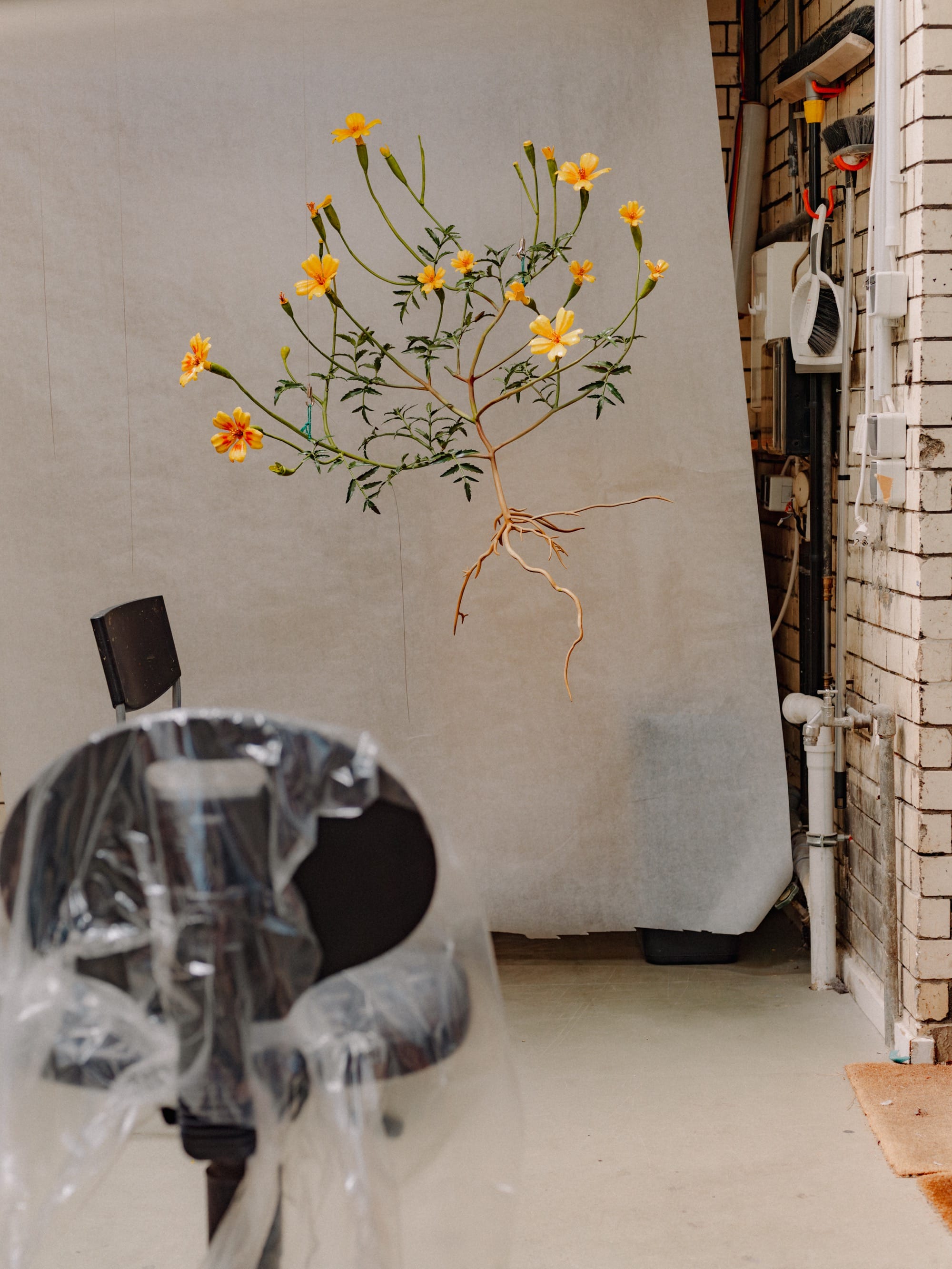 suspended botanical sculptures by alvaro urbano in a studio