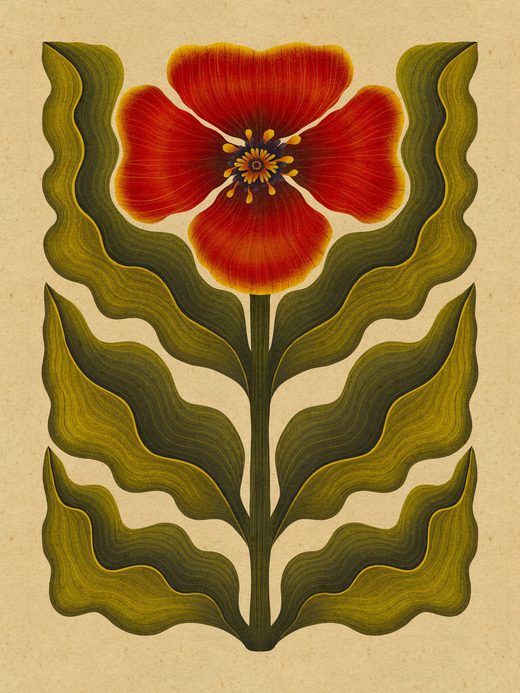 a print of a red flower with symmetrical, wavy leaves